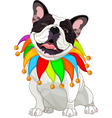 French bulldog wearing a colorful collar vector image