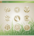 Wheat and rye logo vector image
