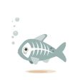X-ray fish vector image