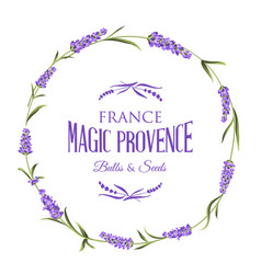The lavender elegant card vector image