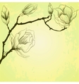 Spring background with magnolia flowers vector image