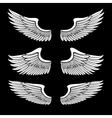 Wings set vector image
