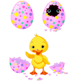 Easter duckling vector image