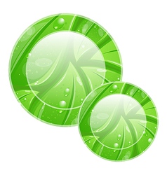 Eco friendly icon for web design leaves texture vector image