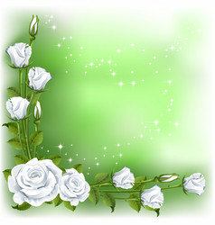 Roses vector image