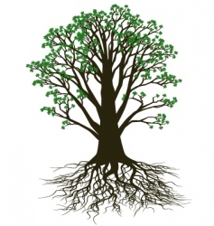 Tree vector image