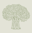 Olive tree poster vector image