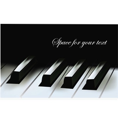 Realistic piano keys vector image