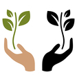 Young plant Young plant vector image