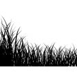 Grass vector image
