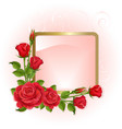 Roses vector image