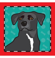 Mixed Breed Cartoon vector image