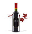 Bottle of wine vector image