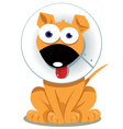 Funny Dog with Elizabethan Collar vector image