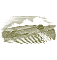 Woodcut Countryside vector image