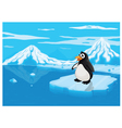 Penguine on ice lce land vector image