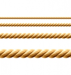 Seamless rope vector image