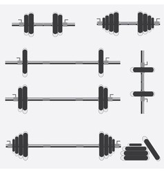 Barbells and dumbbells vector image