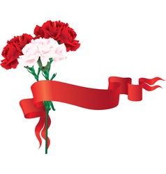 Red and white carnations with a ribbon vector image