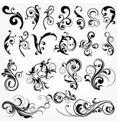 Floral graphic design elements vector image