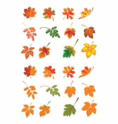 Leaves vector image