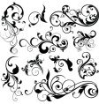 Floral elements vector image