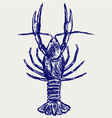 Crayfish sketch vector image