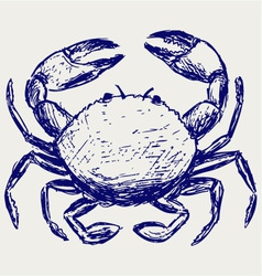 Crab sketch vector image