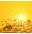 Harvesting on the sunny background vector image
