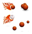 Sports balls vector image