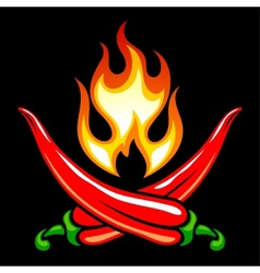 Red hot chilli pepper in the shape of pirate vector image
