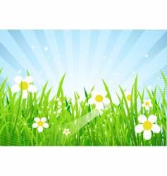 Spring meadow beautiful vector image