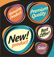 Set of retro labels stickers and badges vector image
