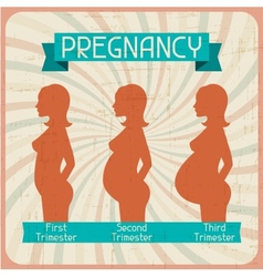 Silhouette of a pregnant woman in the three vector image
