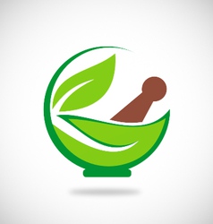 Eco herbal traditional medicine logo vector image