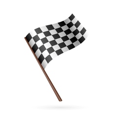 Race Flag Icon vector image
