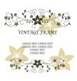 Vintage frame vector image