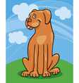 Boxer dog cartoon vector image
