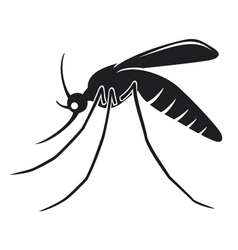 Mosquito vector image