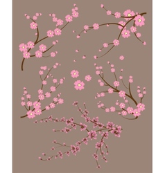 Japanese branch vector image