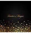 Black and gold luxury background vector image