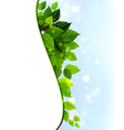 Green leaves vector image
