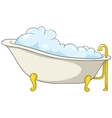 Cartoon home washroom tub vector image