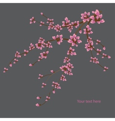 Japanese branch vector image