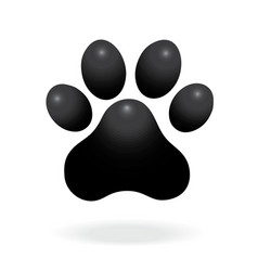 Dog or cat paw print flat icon for animal apps vector image