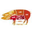 Cuts of pork - meat diagrams vector image