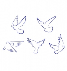 White doves vector image