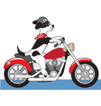 Dog motorcycle vector image