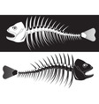 Skeleton fish vector image