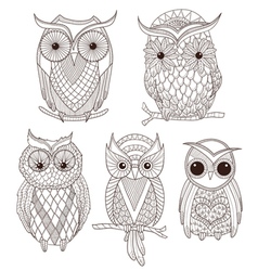 Set of cute owls vector image